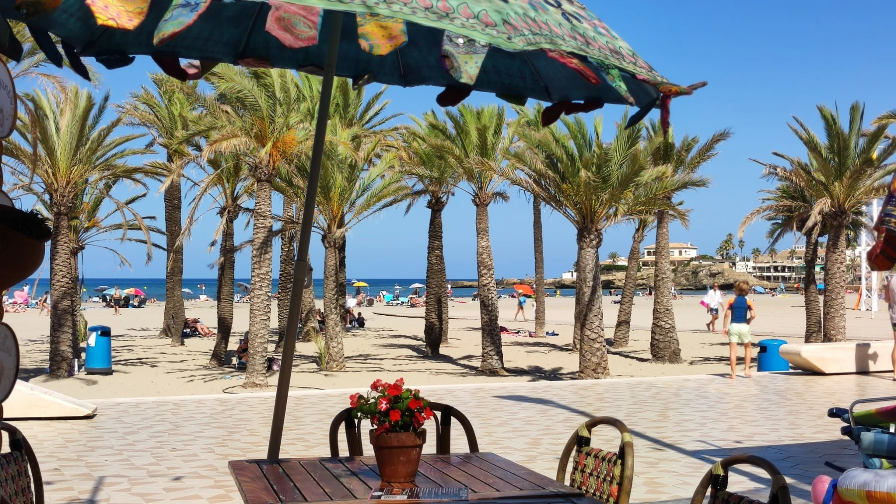 Strand mit Palmen in Jávea