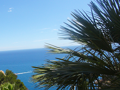 Blick auf das Meer